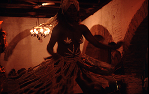 LEICA M6, SUMMICRON 2/50